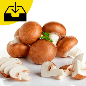 Funghi champignon crema prezzo al kg € 3.80 (unità a collo) 2.8kg circa
